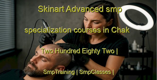 Skinart Advanced smp specialization courses in Chak Two Hundred Eighty Two | SmpTraining | SmpClasses | SkinartTraining-Pakistan